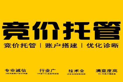 探索SEM代运营公司的经典案例与策略